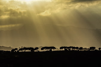 Dramatic sun rays illuminating silhouetted trees and mountains