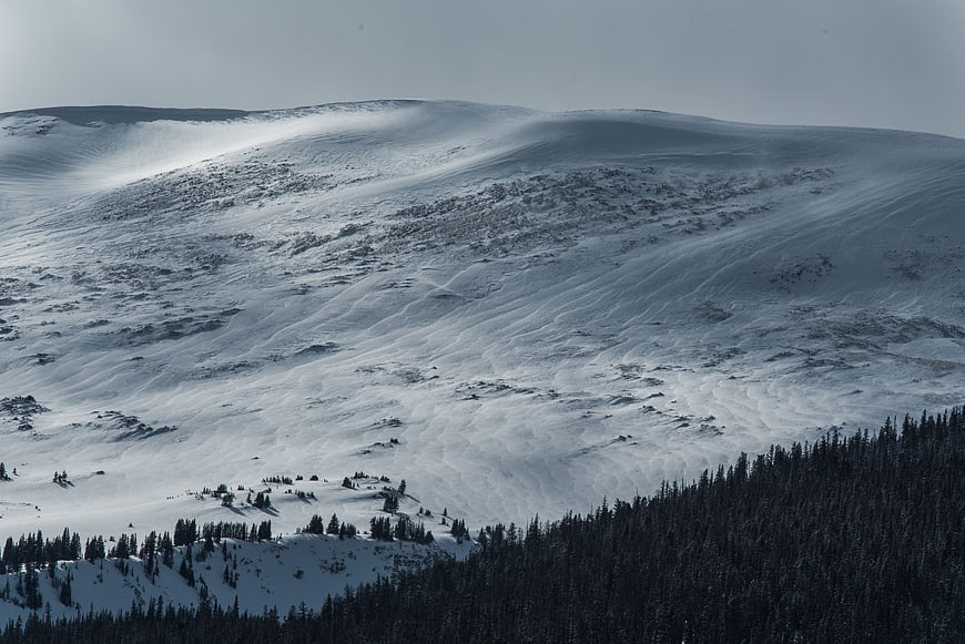 Snowy Mountain Slope with Wind Patterns and Pine Forest