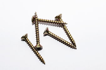 Gold Metal Wood Screws on White Background