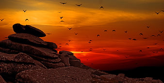 Silhouetted Birds Flying Over Rocky Landscape at Sunset