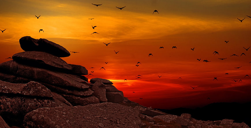 Silhouetted Birds Flying Over Rocky Landscape at Sunset