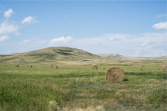 Round hay bales in green field with rolling hills