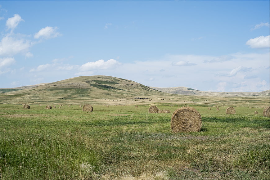 Round hay bales in green field with rolling hills