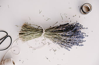 Flat lay of dried lavender bouquet with crafting supplies