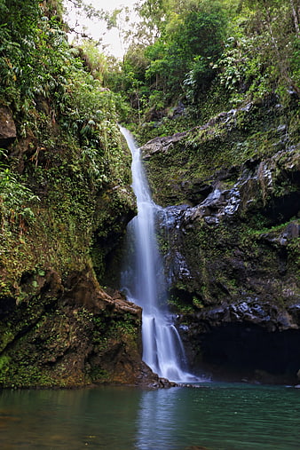 Tropical Waterfall Cascading Into Emerald Pool In Lush Forest