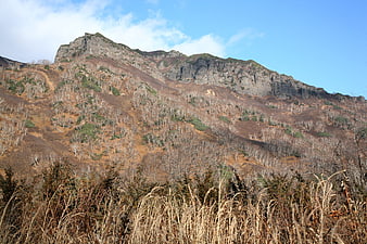 Rugged mountain ridge with bare trees and blue sky