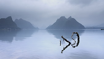 Misty karst mountains and calm lake with dead tree reflection