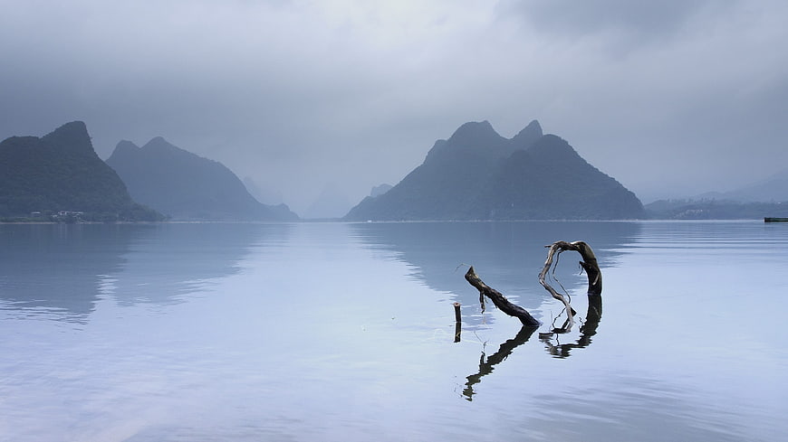 Misty karst mountains and calm lake with dead tree reflection