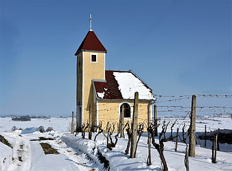 Small yellow chapel in snowy vineyard winter landscape