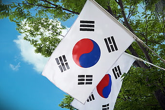South Korean flags waving against blue sky and green trees