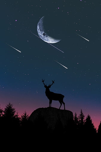 Stag Silhouette on Rock Under Crescent Moon and Shooting Stars