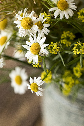 Close-up of white daisies and yellow wildflowers in a rustic vase