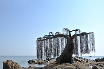 Metal willow tree sculpture on rocky ocean shore