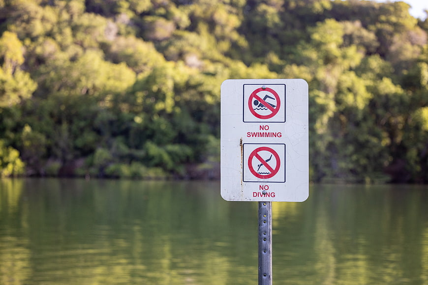 No Swimming and No Diving Sign by Lake
