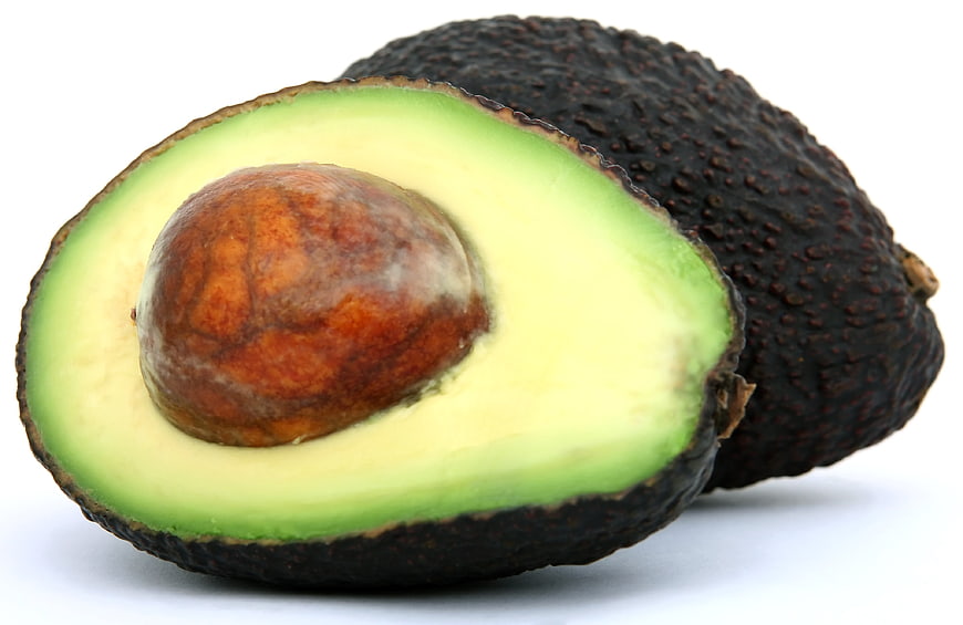 Fresh Halved Avocado with Pit on White Background