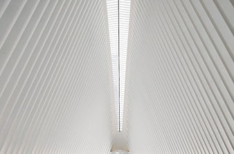 White Architectural Ceiling With Symmetrical Ribs And Central Skylight