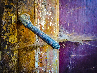 Close-up of rusty metal handle on weathered wooden door with cobwebs