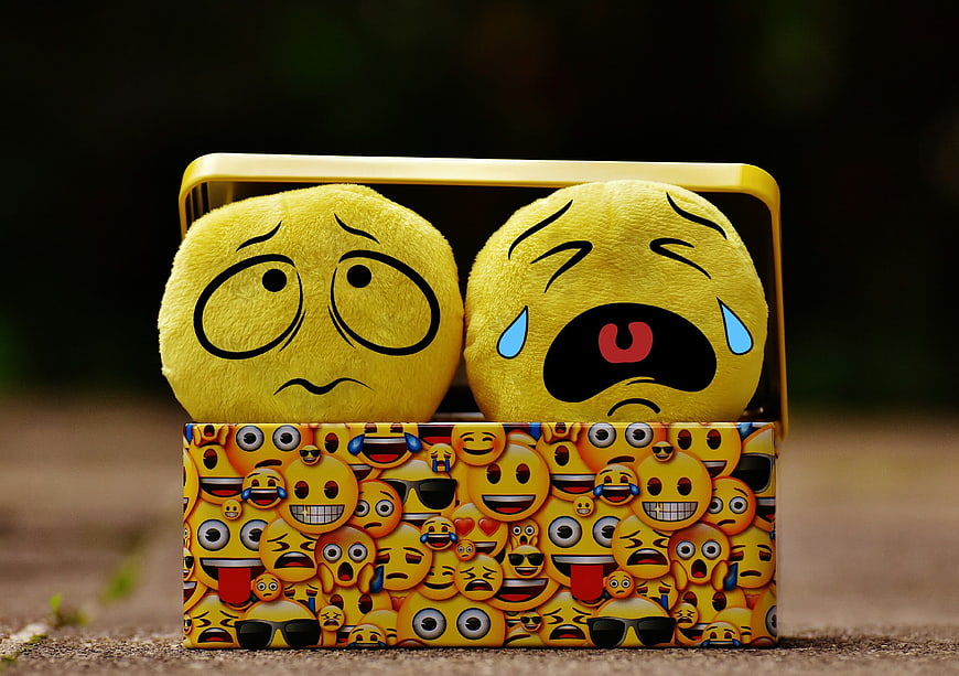 Sad and Crying Emoji Plush Toys in Decorative Box