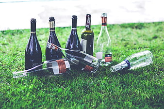 Empty wine bottles scattered on green grass