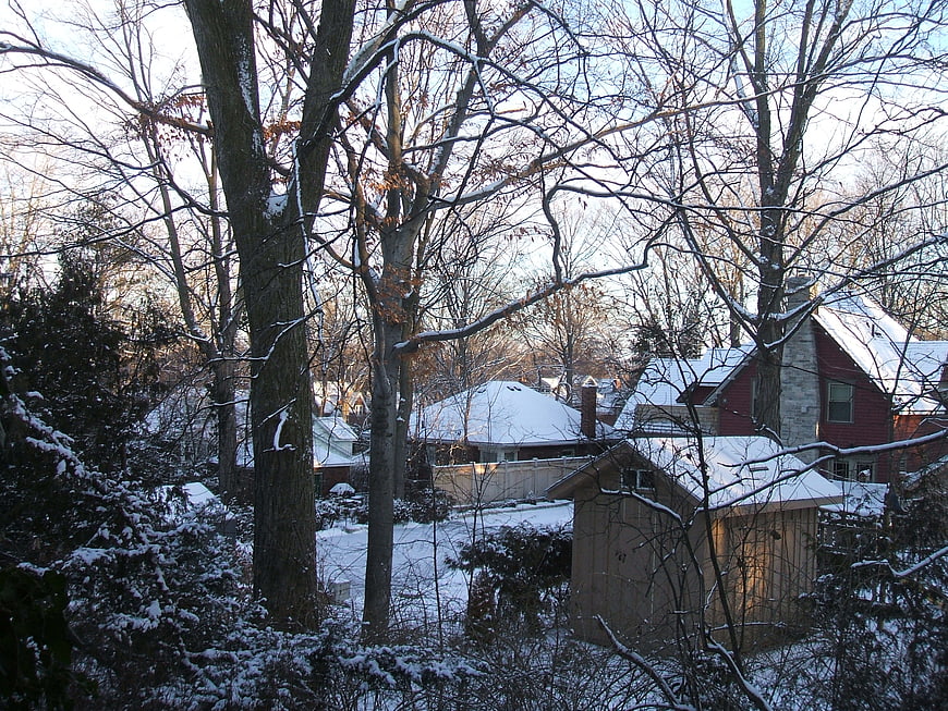 Snowy Winter Backyard with Bare Trees and Houses