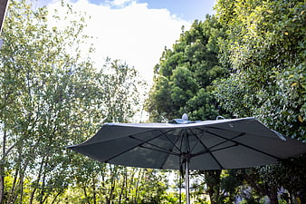 Gray patio umbrella under lush green trees and blue sky