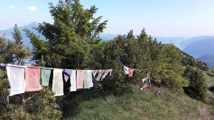 Colorful Tibetan prayer flags on a mountain ridge with pine trees