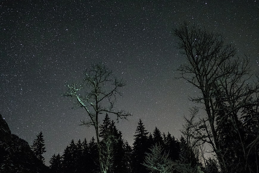 Starry Night Sky Over Silhouetted Forest Trees