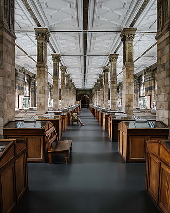 Symmetrical view of grand museum hall with stone pillars and display cases
