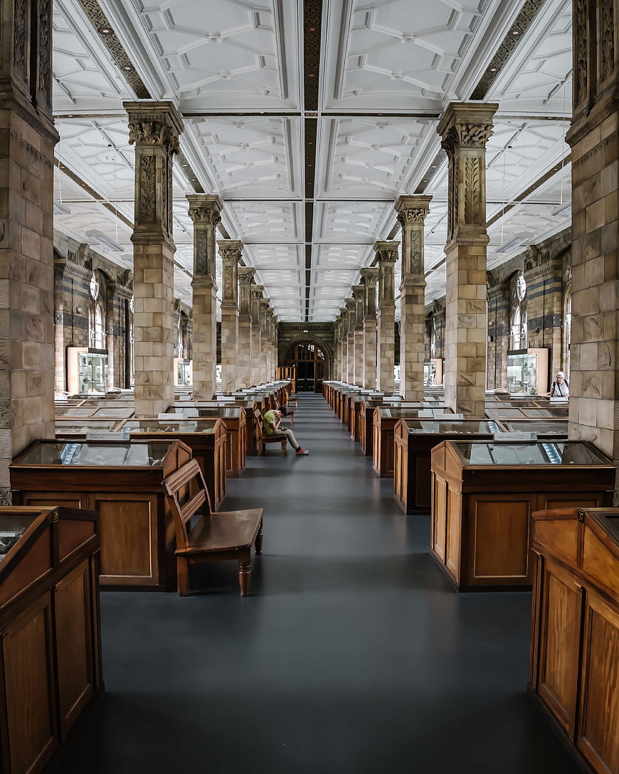 Symmetrical view of grand museum hall with stone pillars and display cases