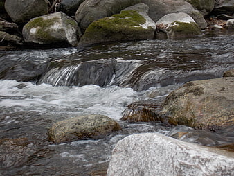 Flowing Mountain Stream Over Mossy Rocks