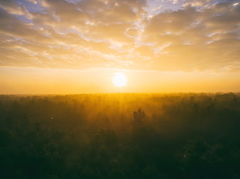 Golden Sunrise Over Misty Forest Canopy with Clouds