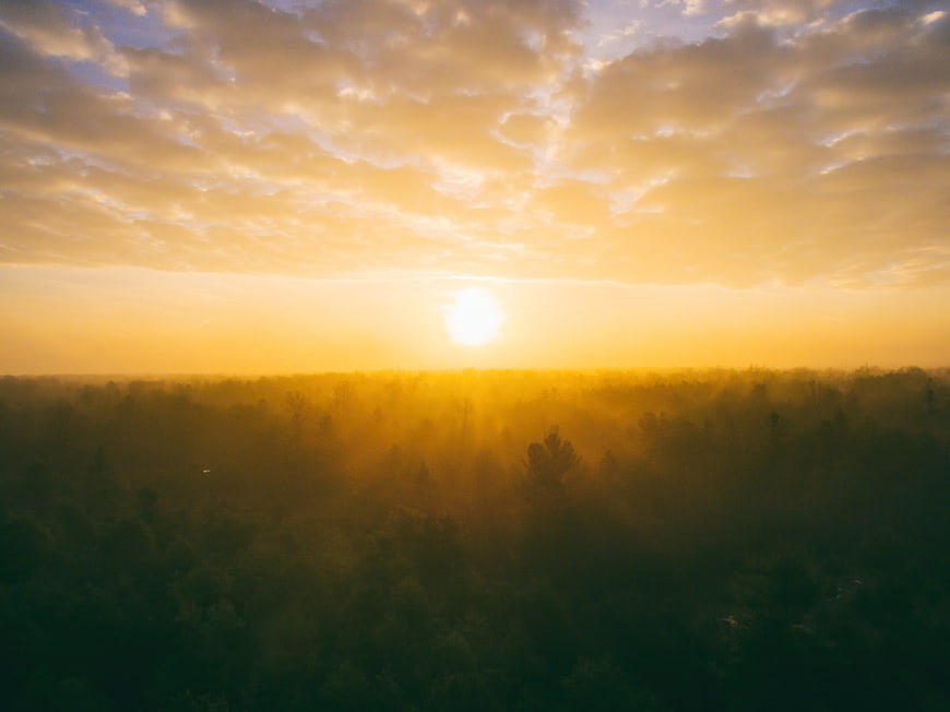 Golden Sunrise Over Misty Forest Canopy with Clouds