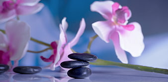 Stacked black zen stones with pink orchids on reflective surface