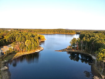 Aerial View of Serene Lake Surrounded by Autumn Forest