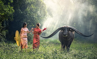 Two women in traditional dresses with a water buffalo in a misty forest