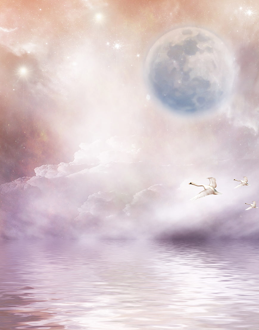 Dreamy Fantasy Sky with Swans and Moon