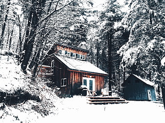 Rustic wooden cabin in snowy winter forest