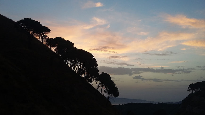 Silhouette of pine trees on a hill against a sunset sky