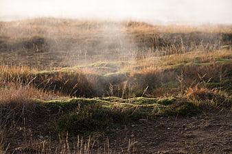 Misty morning landscape with mossy hills and golden sunlight
