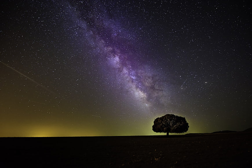 Milky Way Galaxy Above Silhouetted Tree in Night Sky