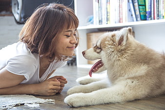 Young woman smiling at fluffy husky puppy on wooden floor