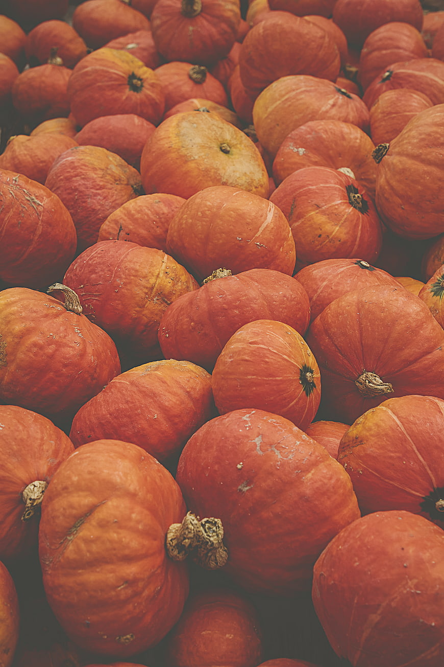 Pile of Orange Pumpkins for Autumn Harvest Background