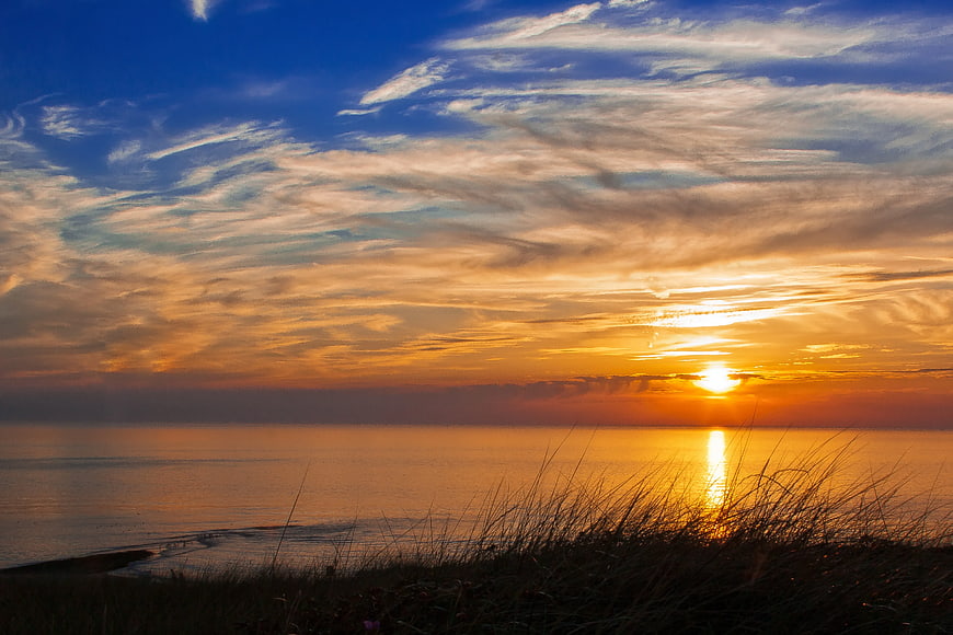 Golden Sunset Over Ocean with Silhouetted Beach Grass