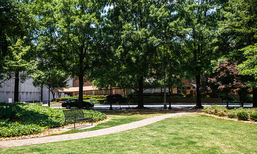 Sunny Urban Park Pathway with Green Trees and Bench
