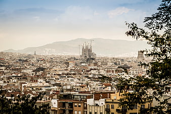 Sagrada Familia Barcelona Cityscape with Foreground Foliage