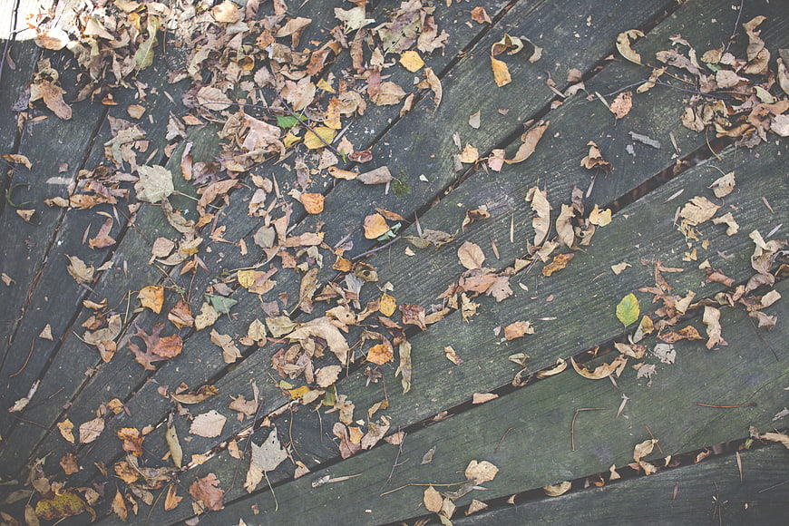 Top View of Dry Autumn Leaves on Weathered Wooden Deck