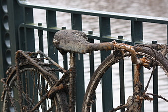 Muddy rusty bicycle leaning against green railing by canal