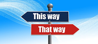 Blue and red directional signpost with this way and that way text