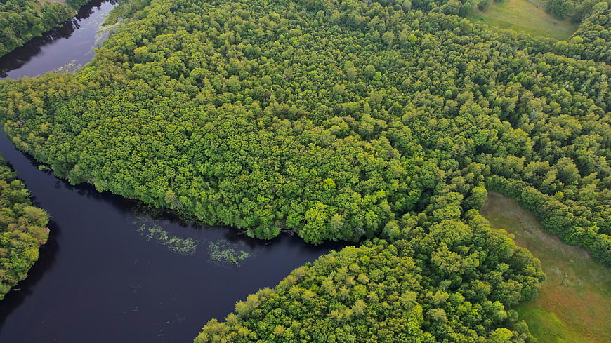 Aerial View of Winding River Through Dense Green Forest