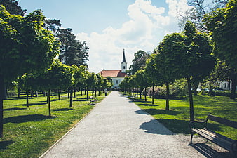 Sunny Park Path Leading to Church with Green Trees